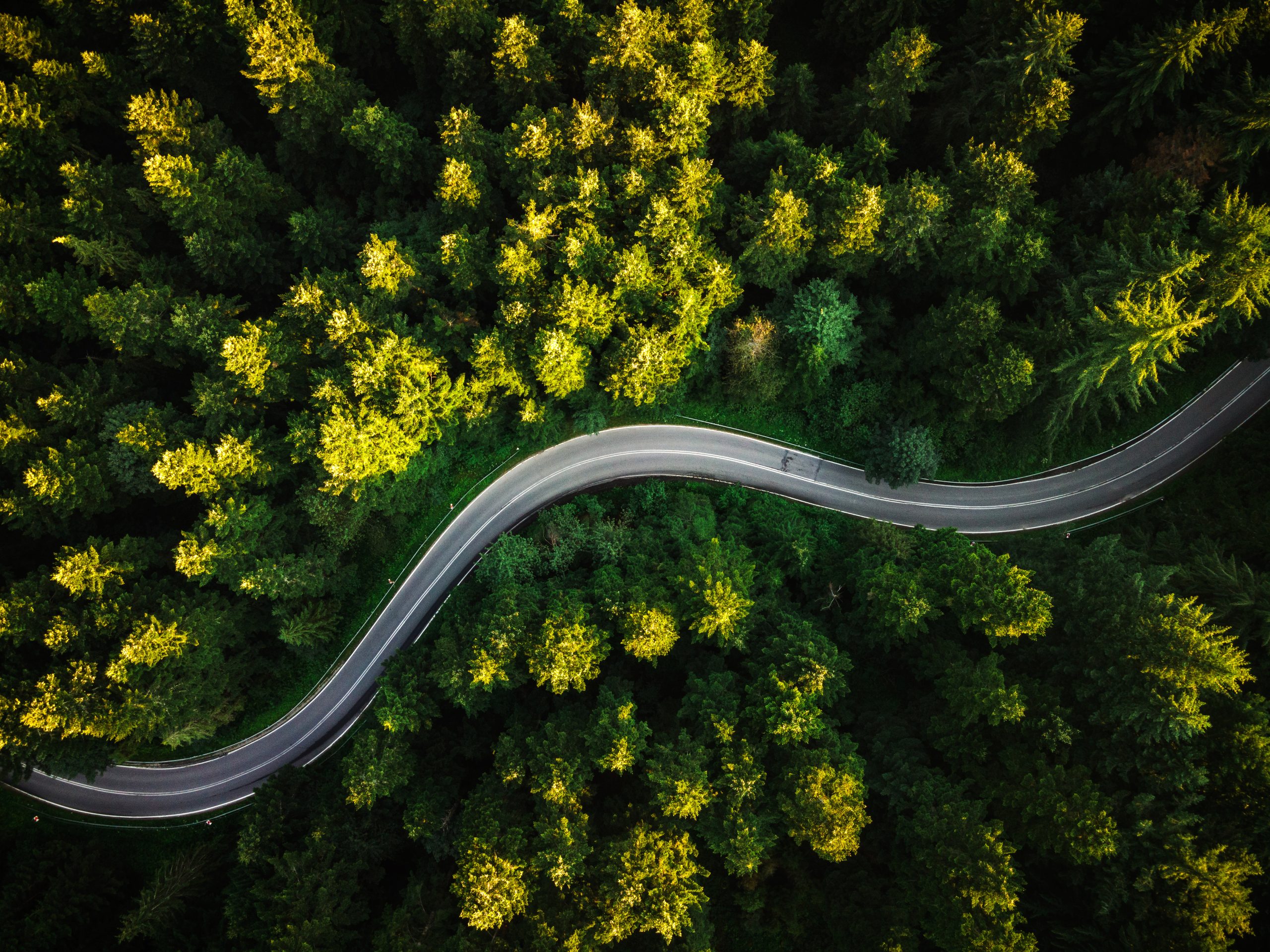 Aerial view of a winding road cutting through a lush, green forest.